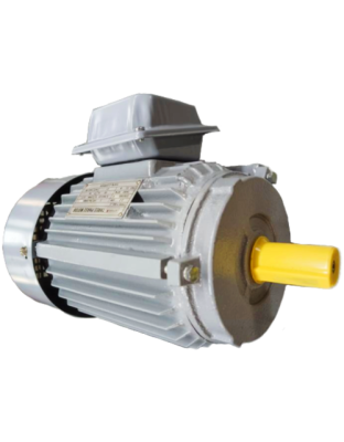 Motor Eléctrico Trifásico 3HP 1740RPM Y100L1-4